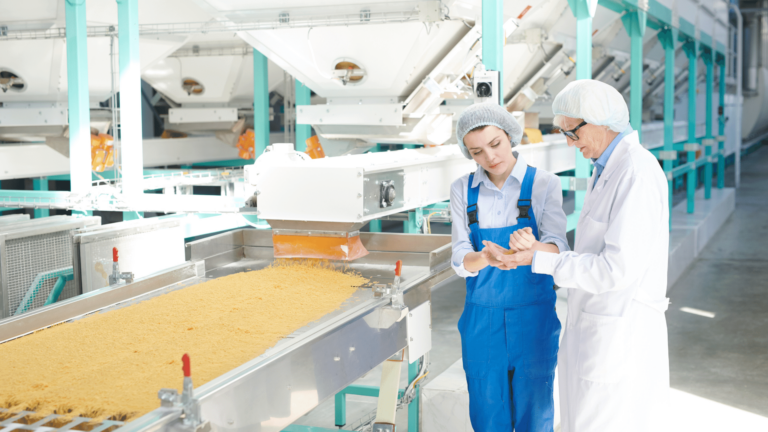 Food technology, food factory, dairy factory, cheese factory, factory