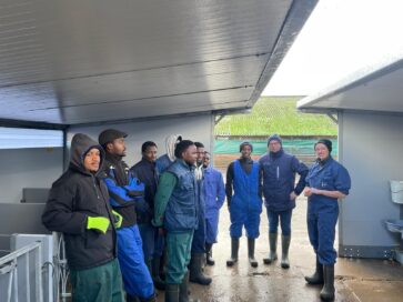 From Africa to Holland: How Dutch Farms Are Shaping the Future of Agriculture