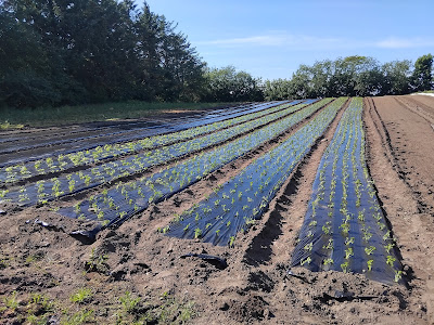 Gartenbau