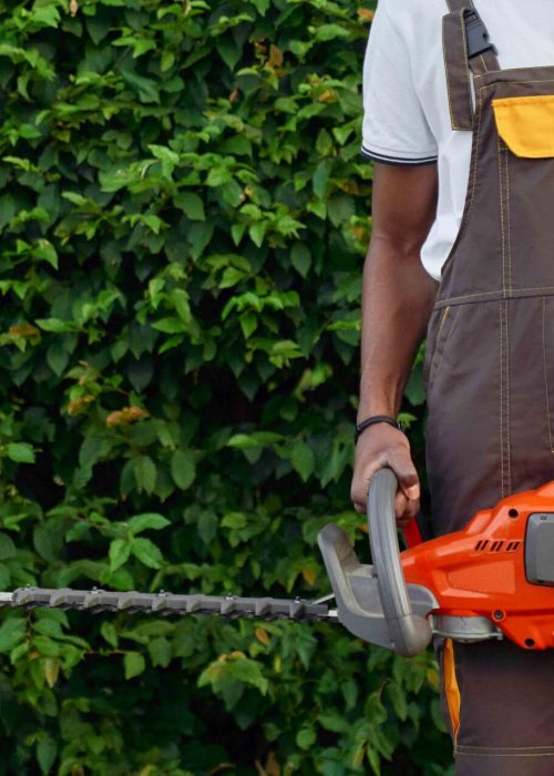 Close up of petrol hedge cutter that holding muscular male gardener in working uniform and standing near green decorative hedge. Concept of manual work and landscaping.